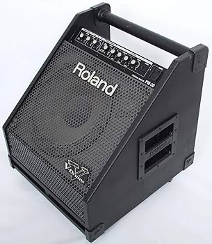 Roland PM-30 Personal Drum Monitor : Amazon.in: Musical